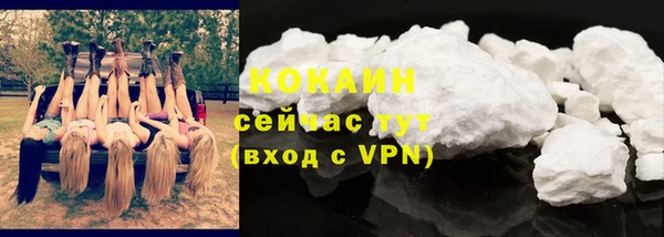 стаф Белокуриха