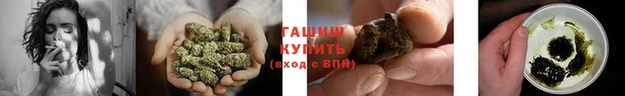 стаф Белокуриха