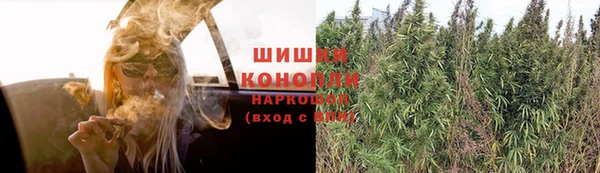 стаф Белокуриха